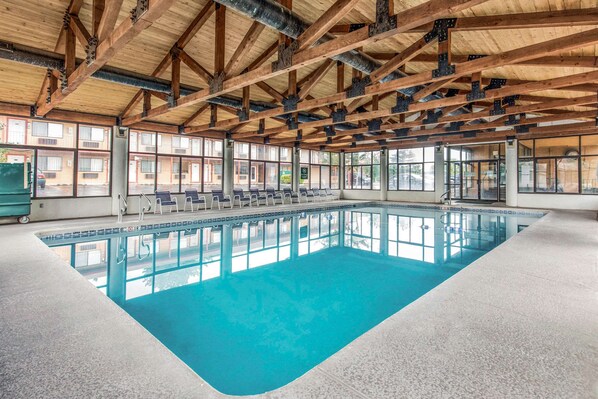 Indoor pool, sun loungers