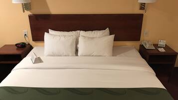 Standard Room, 1 King Bed, Non Smoking (Pet Friendly)