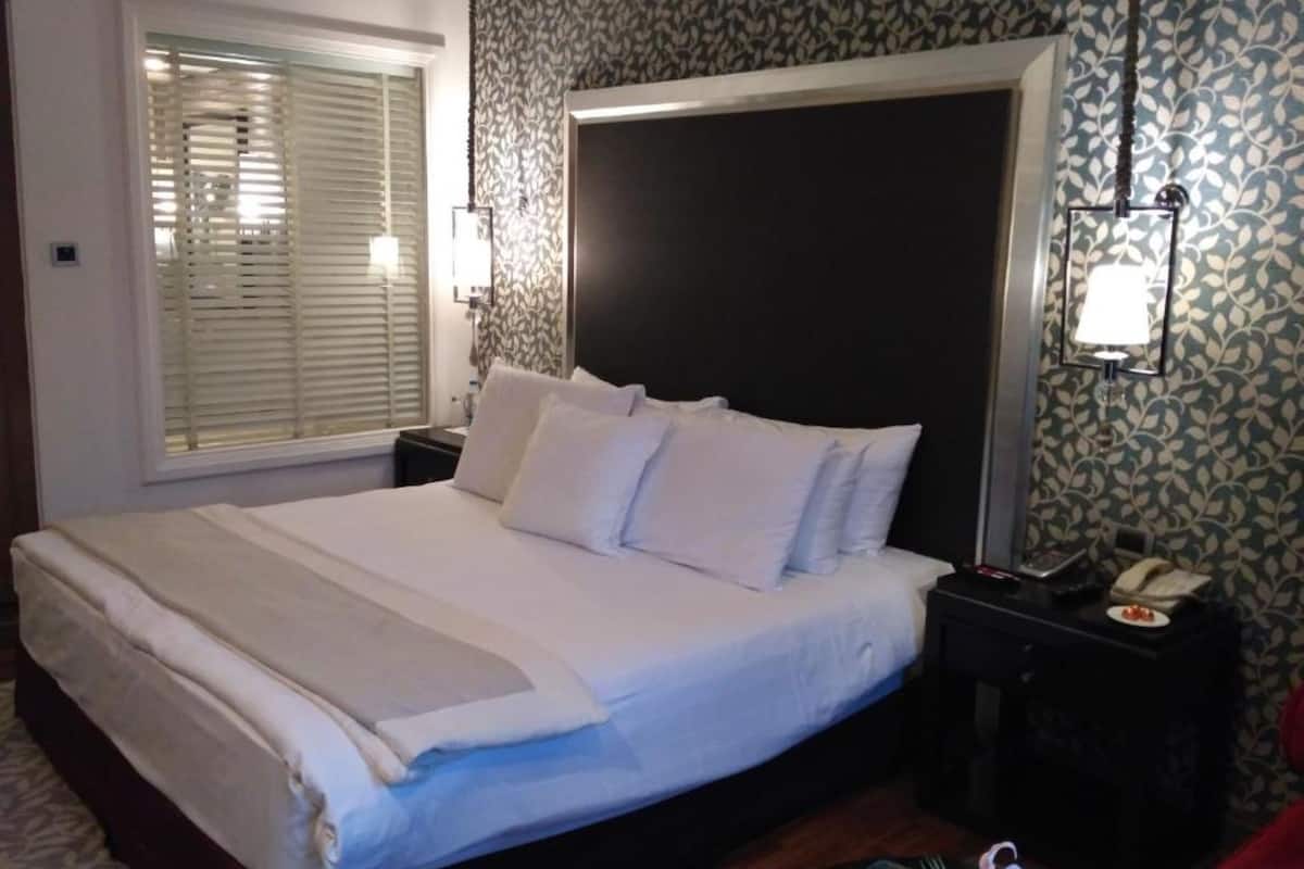 rajputana royale, club lounge access, double, pool view | premium bedding, minibar, in-room safe, individually decorated