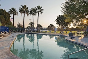 Seasonal outdoor pool, open 8:00 AM to 8:00 PM, sun loungers