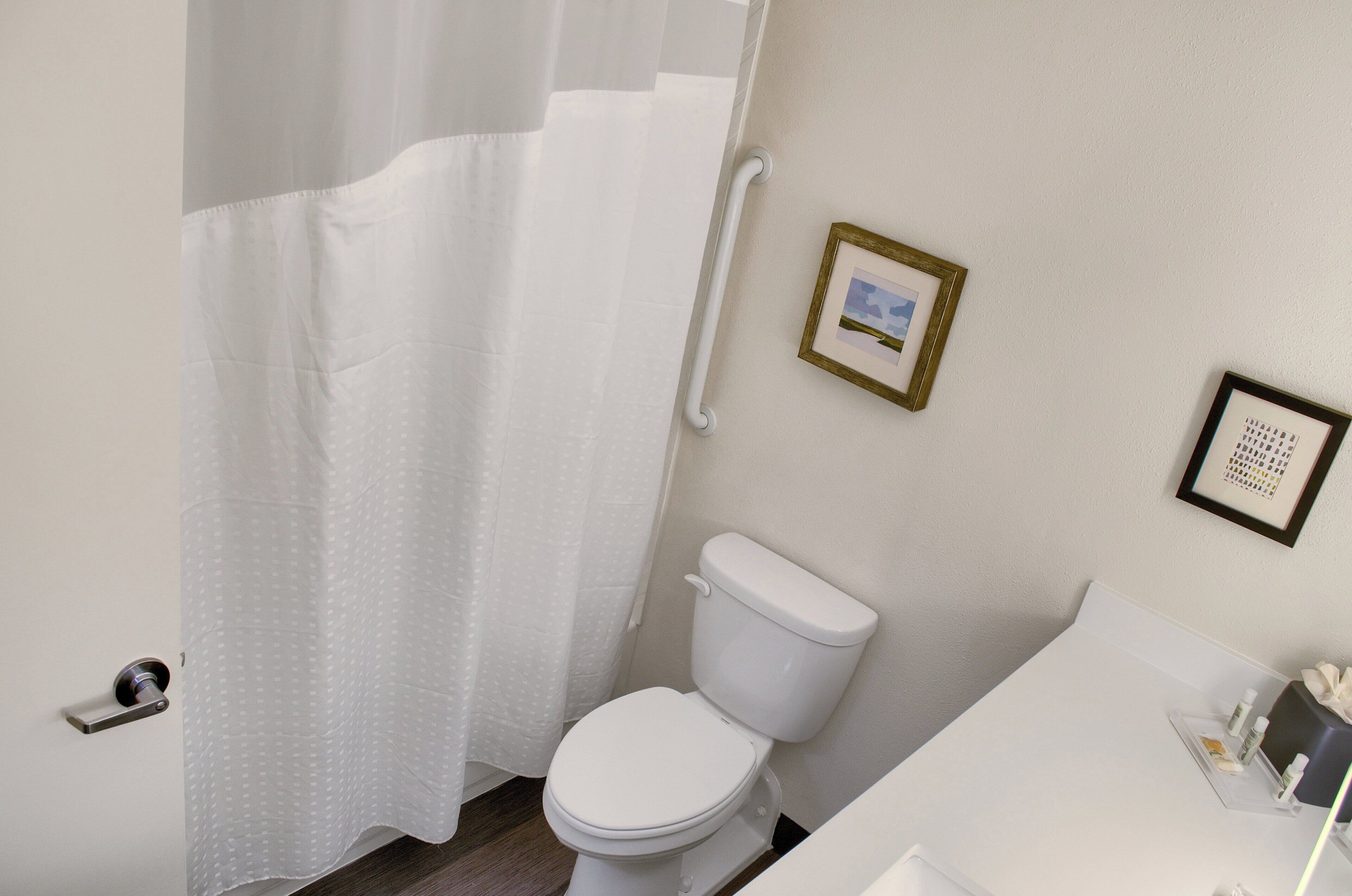 A bathroom with a toilet, a shower curtain, and two framed pictures on the wall.