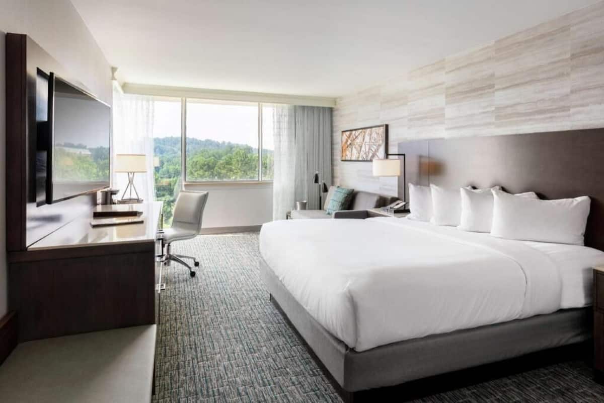 A hotel room with a large bed, a desk with a flat-screen TV, a chair, and a window with a view of greenery.