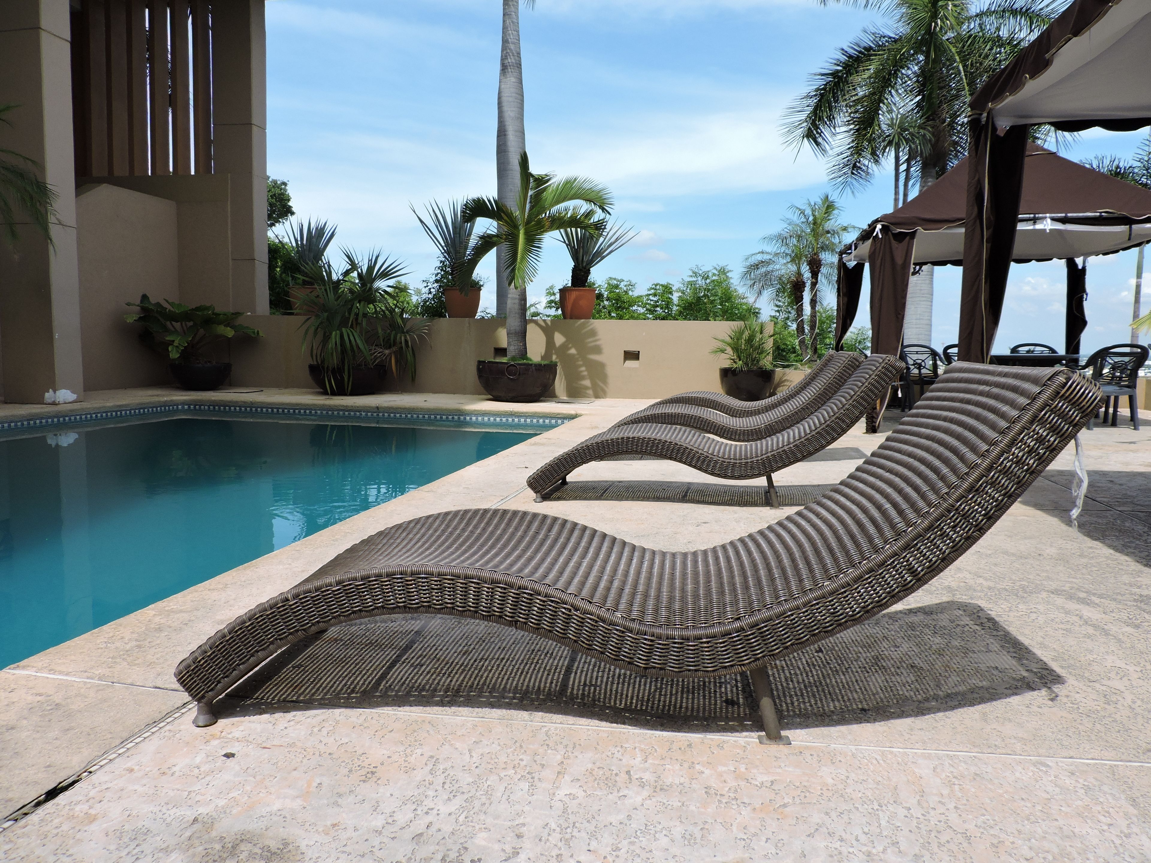 Zona junto a la piscina con sillones de descanso y plantas en macetas.