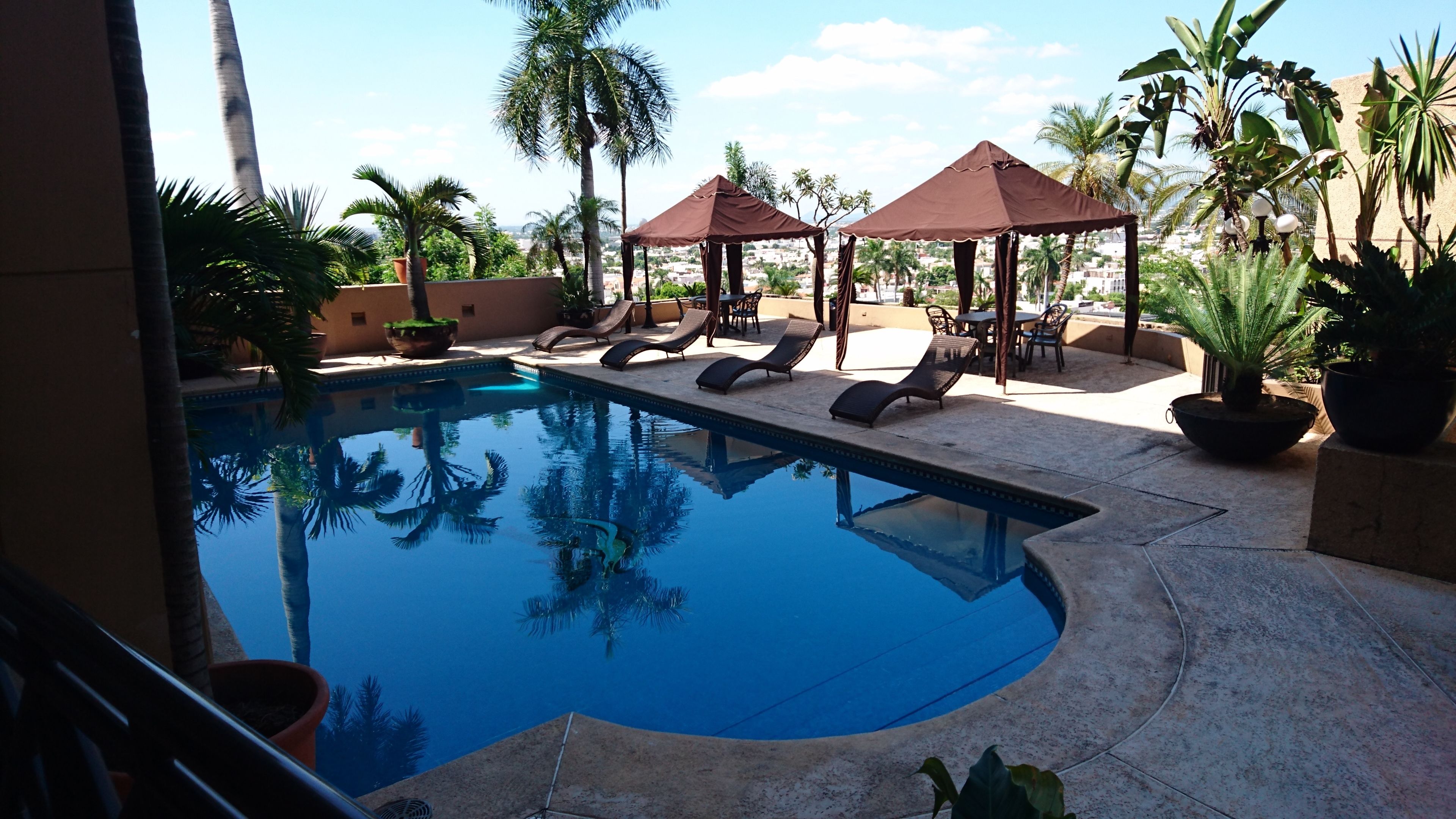 A swimming pool with lounge chairs and umbrellas, surrounded by palm trees and potted plants.