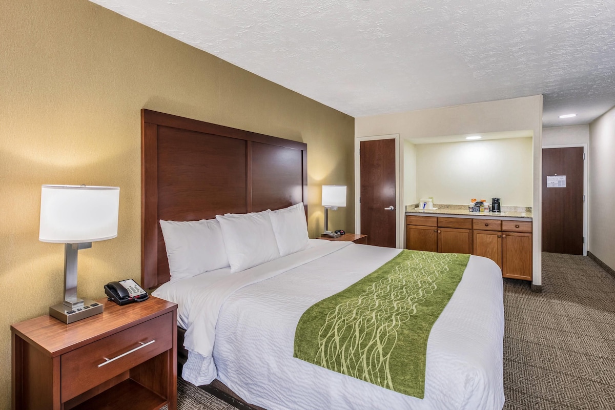 Standard Room, 1 King Bed, Non Smoking | Desk, blackout drapes, iron/ironing board, cribs (free)