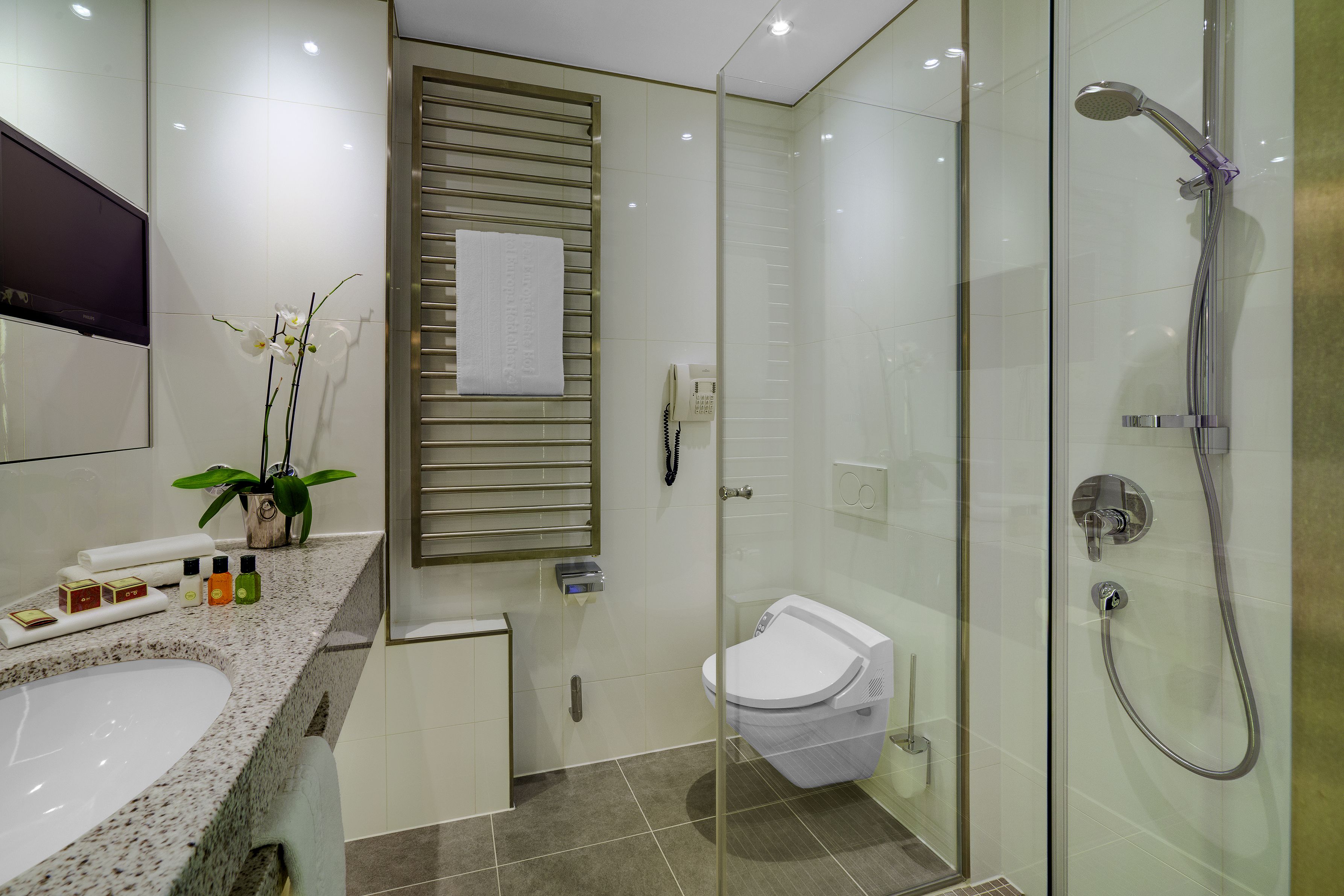A modern bathroom with a glass-enclosed shower, a white toilet, and a granite countertop with toiletries.