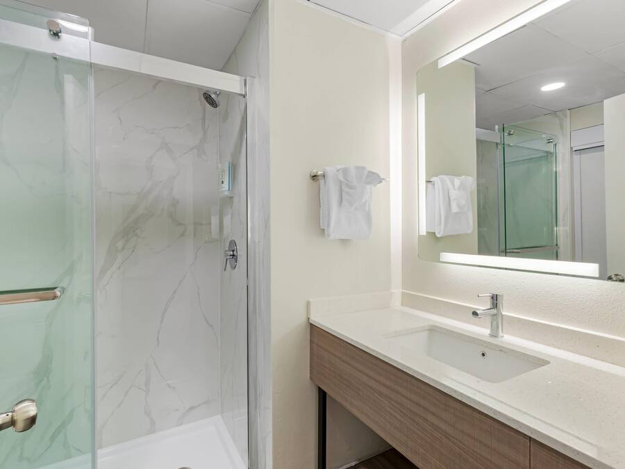A modern bathroom with a glass-enclosed shower, a white sink, and a large mirror.