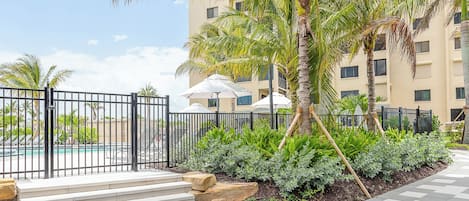 Une cour d’hôtel dotée d’une piscine, de palmiers et d’un espace clos accessible par des marches menant à une zone aménagée au bord de la piscine.