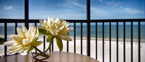 Vista desde la habitación