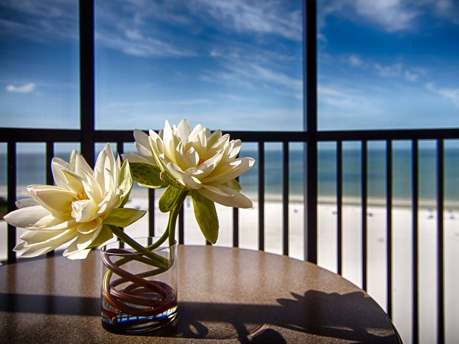 Vista desde la habitación