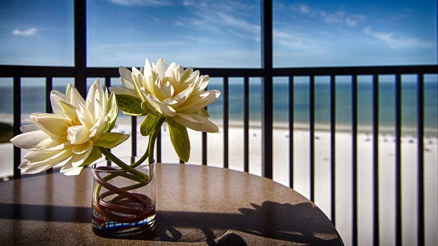 Pointe Estero Beach Resort