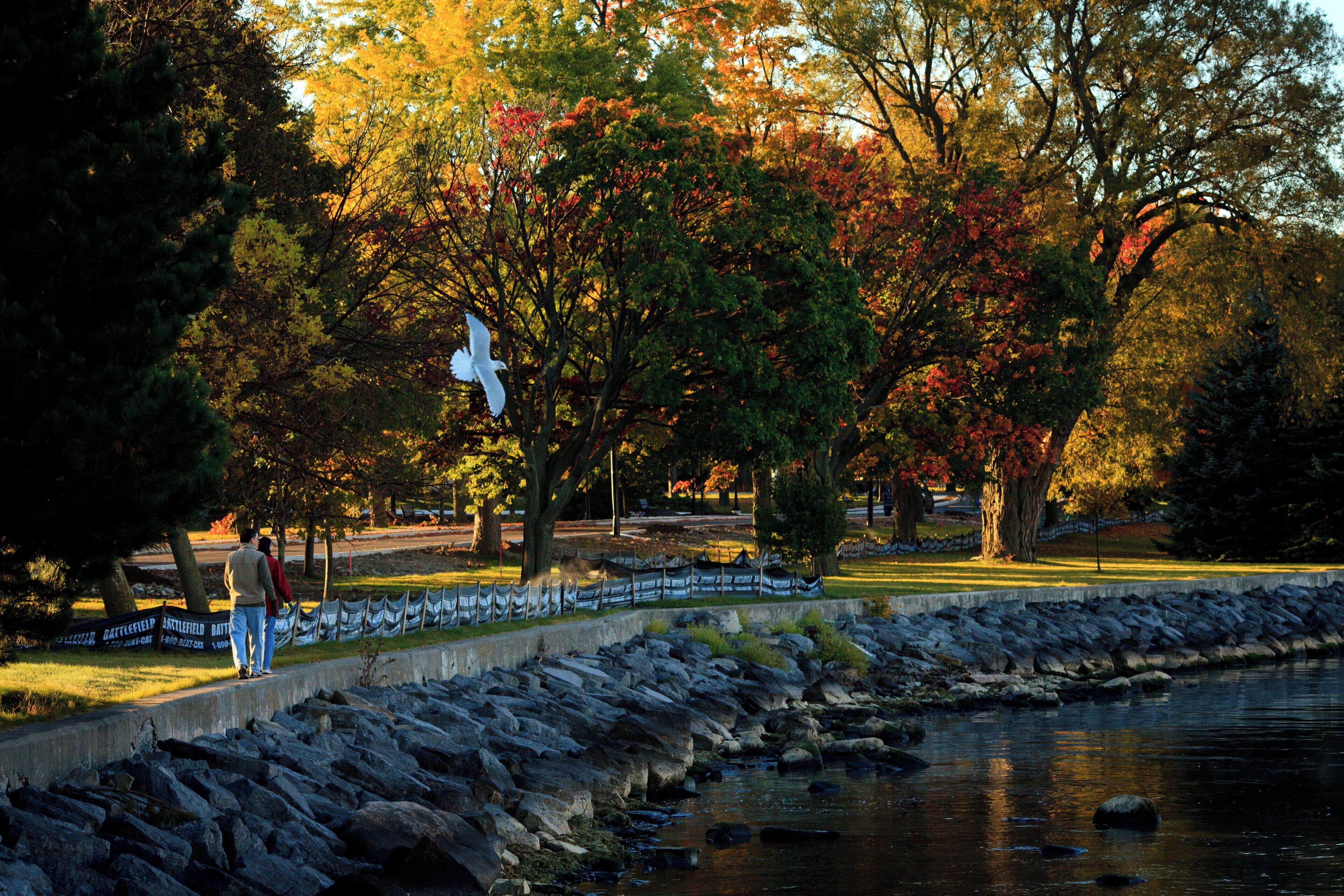A park with a stone wall and a body of water.