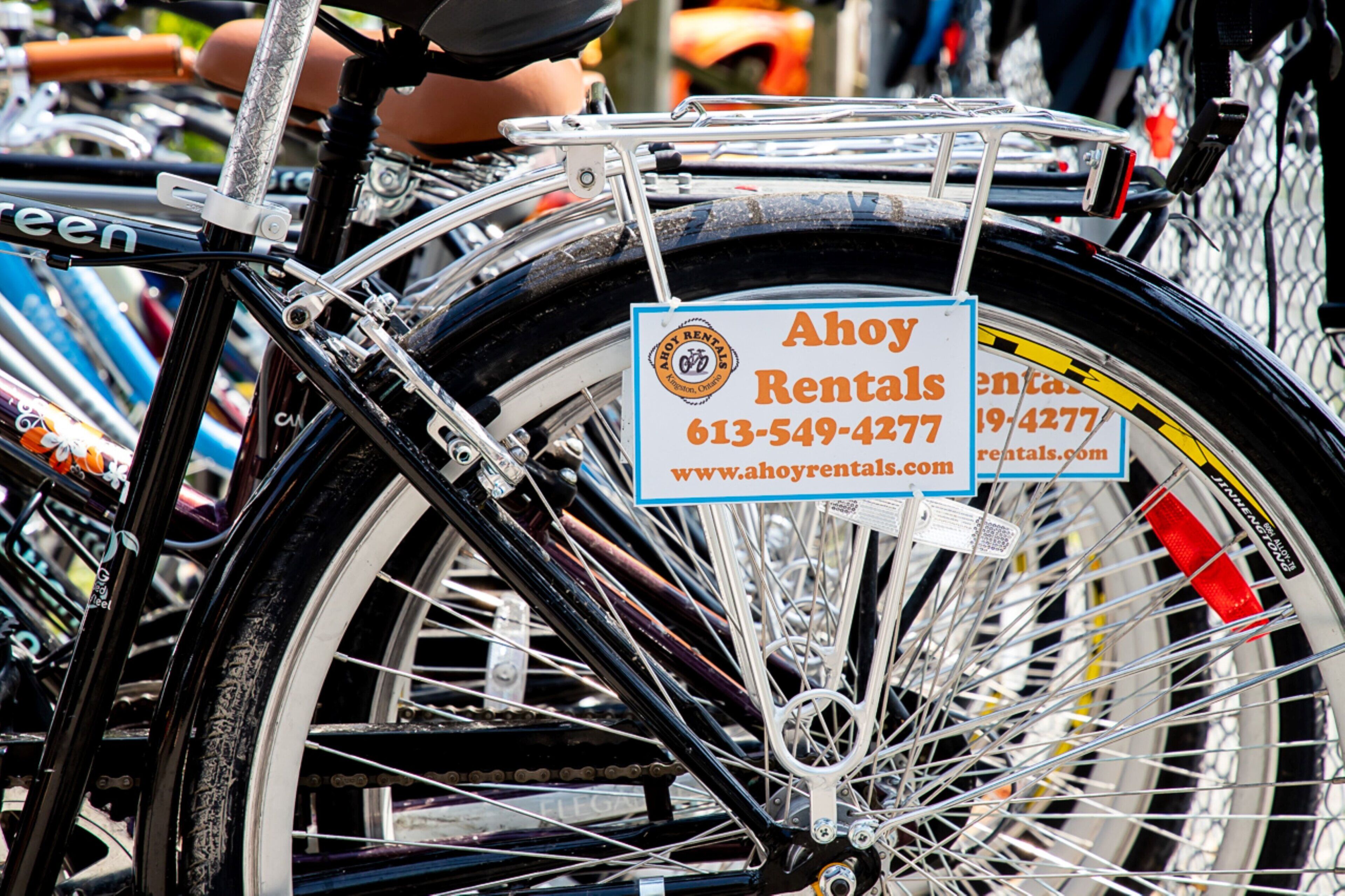 A bicycle with a rental sign, a contact number, and a website URL.