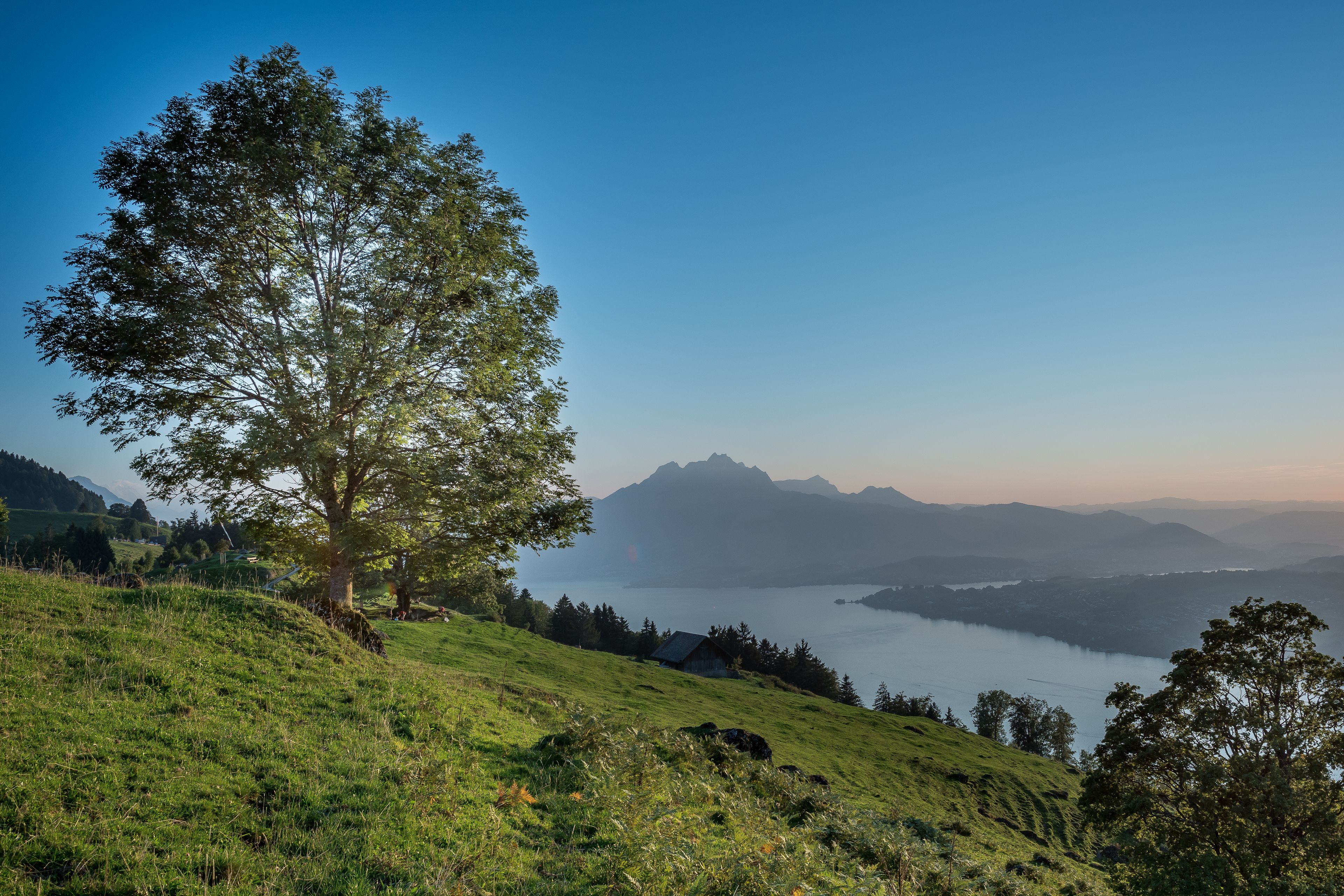 Paisatge de muntanya amb un arbre destacat, una petita cabana i un llac a la distància.