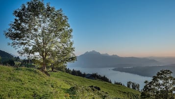 Un paysage montagneux avec un arbre imposant, une petite cabane et un lac au loin.