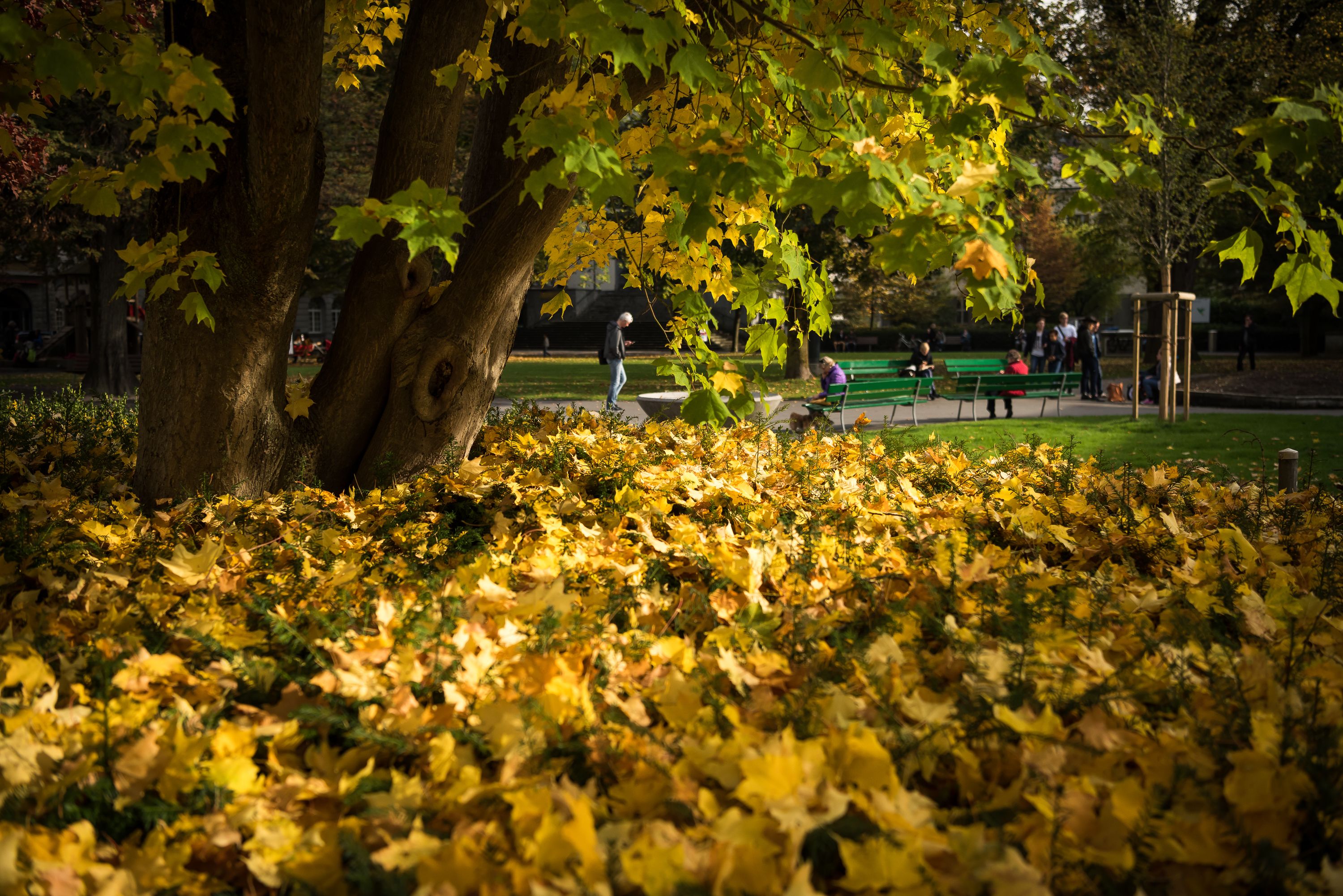 children’s play area – outdoor