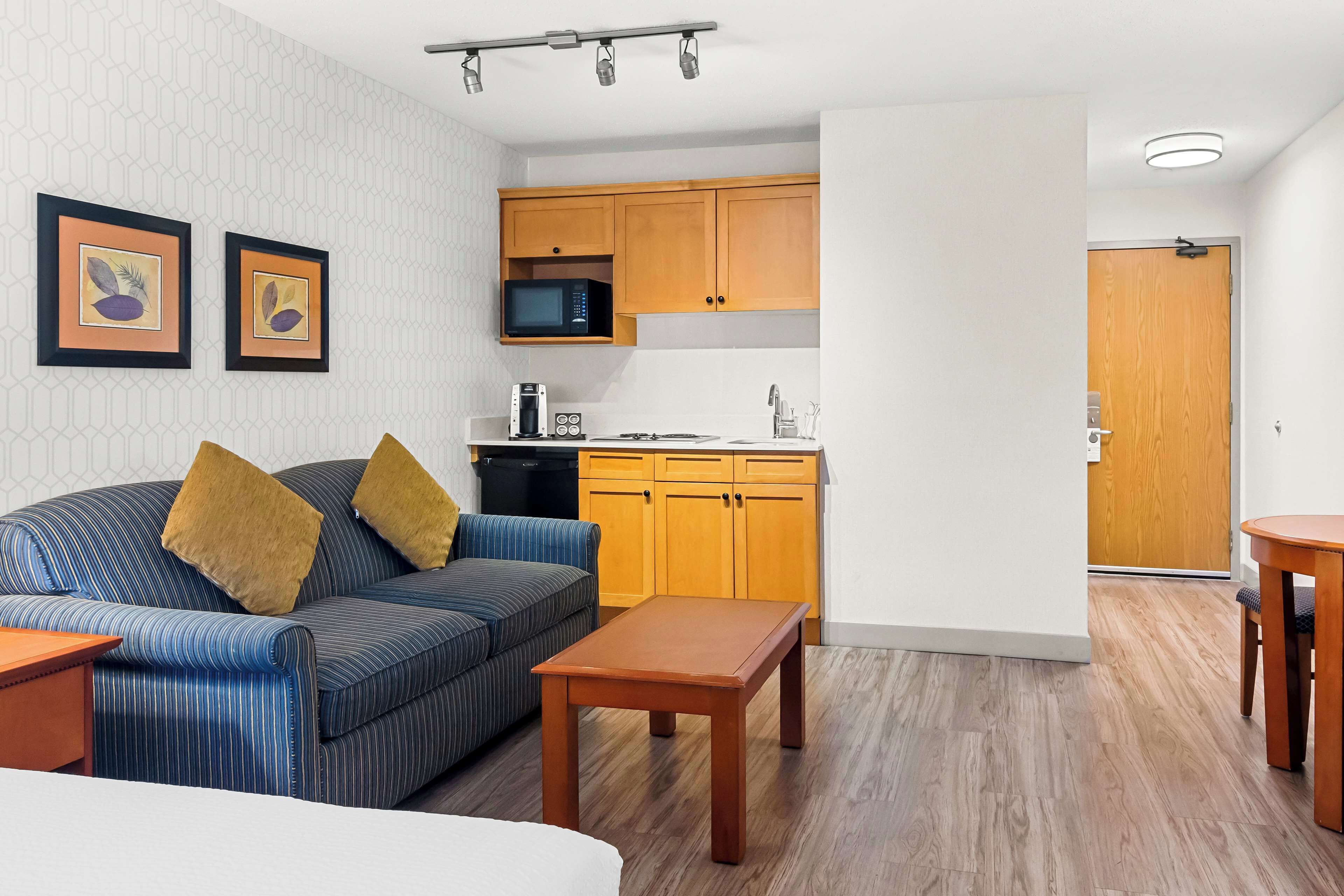 standard room, 1 queen bed, non smoking, kitchenette (pet friendly;with sofabed) | premium bedding, desk, laptop workspace, blackout curtains