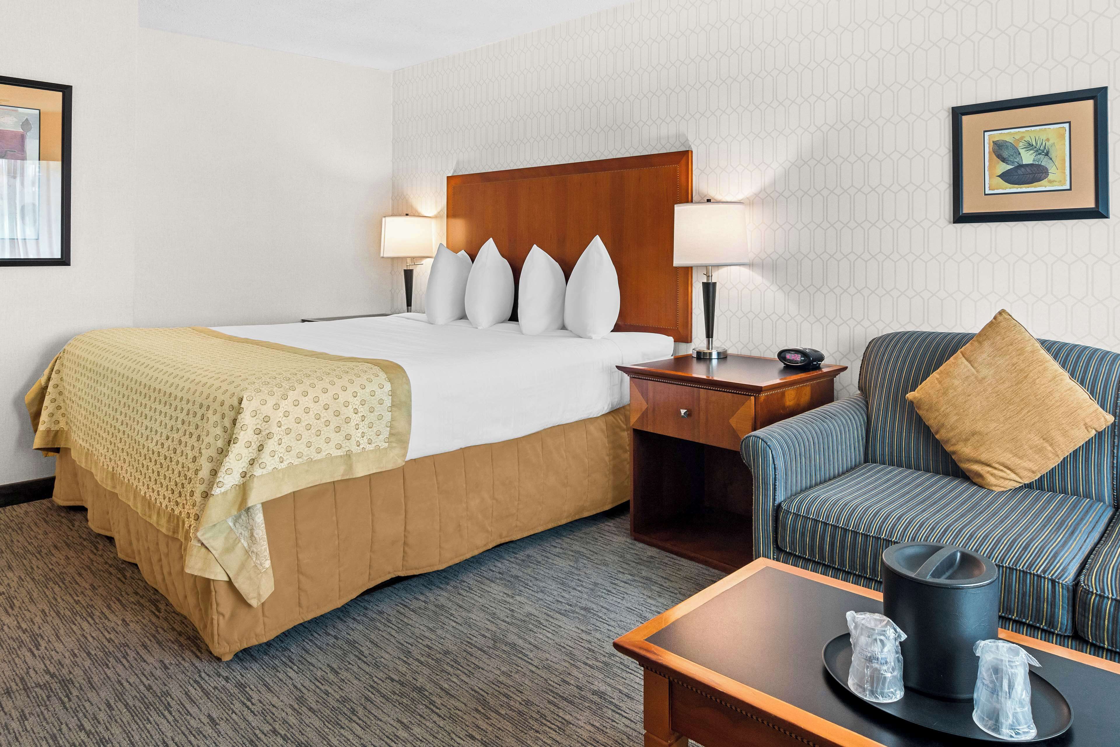 Chambre Affaires, 1 très grand lit, non-fumeur, réfrigérateur (with Sofabed) | Literie de qualité, bureau, espace de travail pour ordinateurs portables