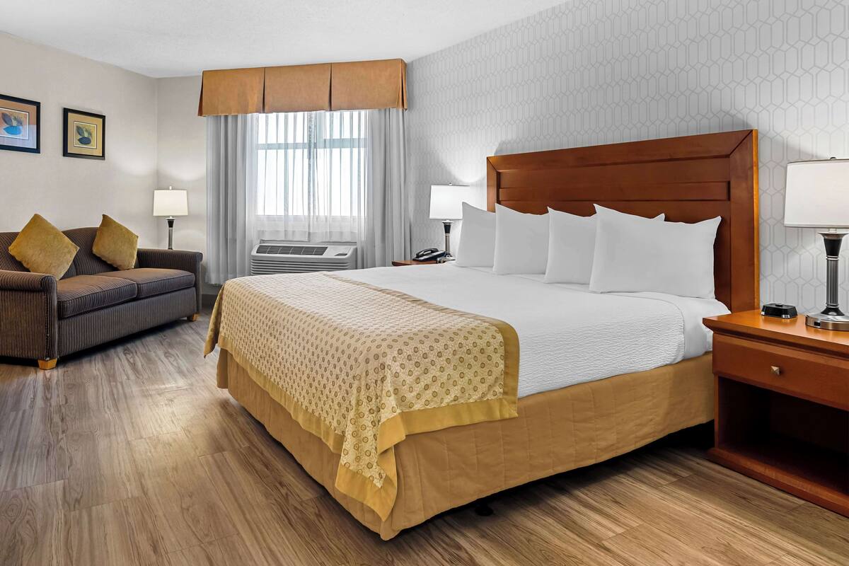 A hotel room with a large bed, a sofa, a nightstand, and a window with curtains.