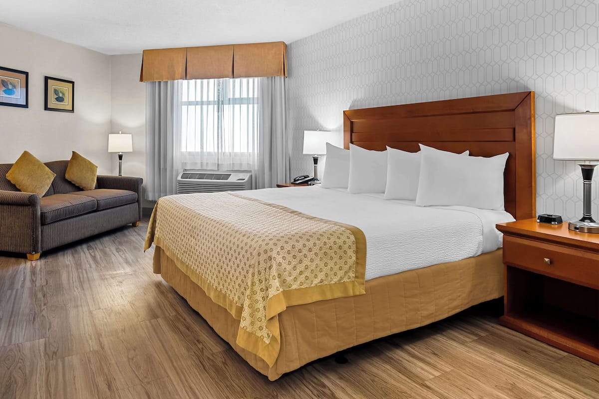 Standard Room, 1 King Bed, Accessible, Bathtub (with Sofabed)