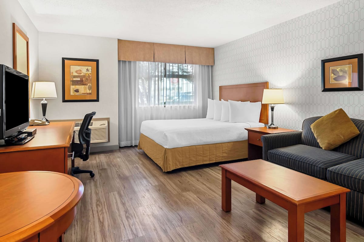 Standard Room, 1 Queen Bed, Non Smoking, Kitchenette (Pet Friendly;with Sofabed) | Premium bedding, desk, laptop workspace, blackout drapes