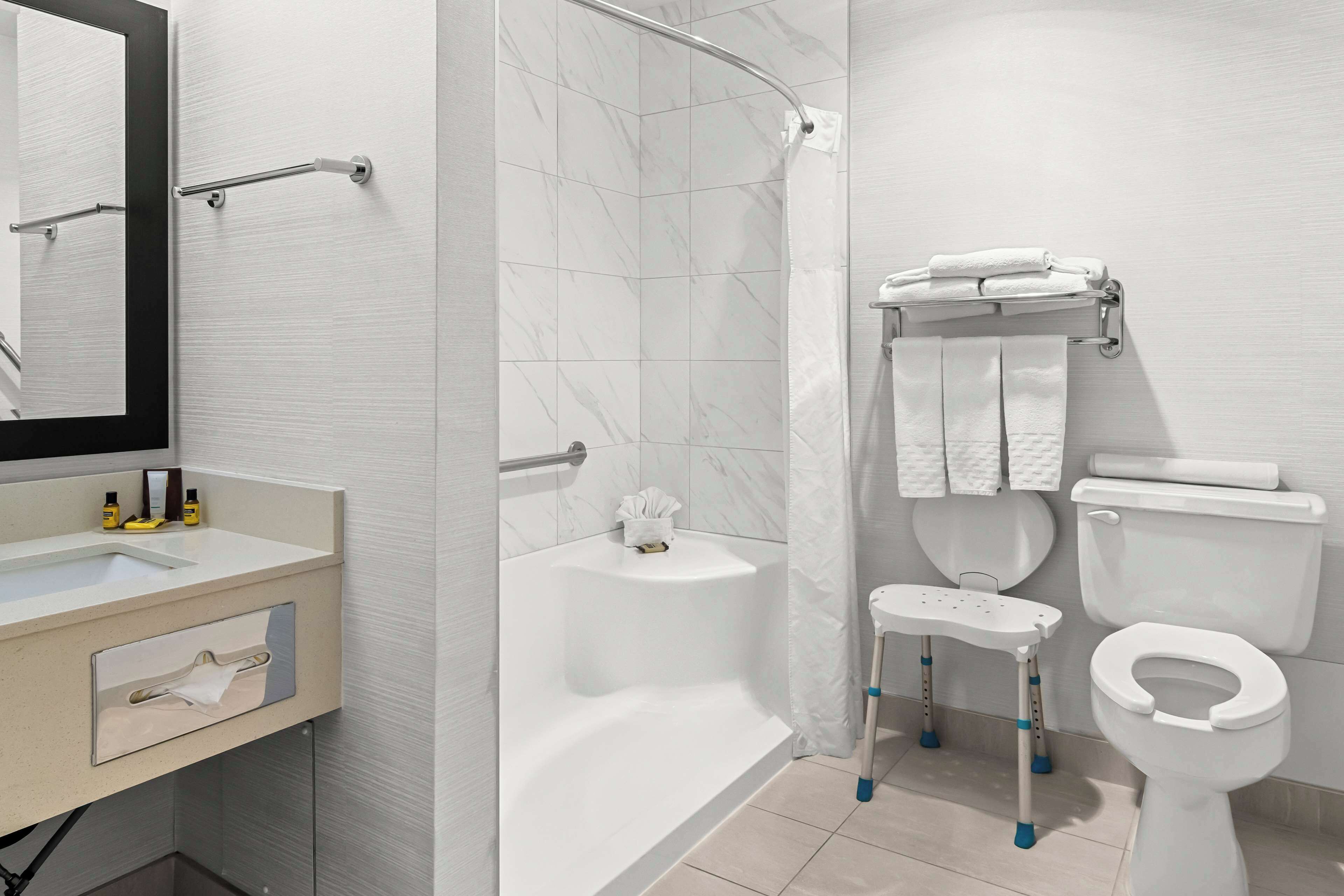 standard room, 1 king bed, accessible, bathtub (with sofabed) | bathroom | designer toiletries, hair dryer, towels