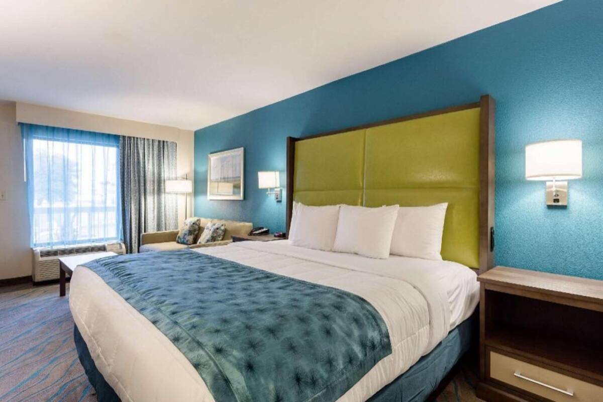 A hotel room with a large bed, a bedside table, a lamp, a window with curtains, and a wall-mounted picture.