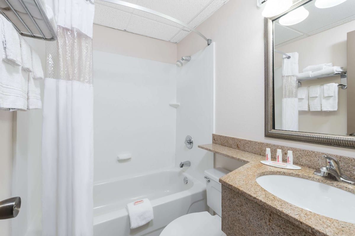 room, 1 queen bed, accessible, non smoking (mobility, bathtub w/grab bars) | bathroom | combined shower/bathtub, free toiletries, hair dryer, towels