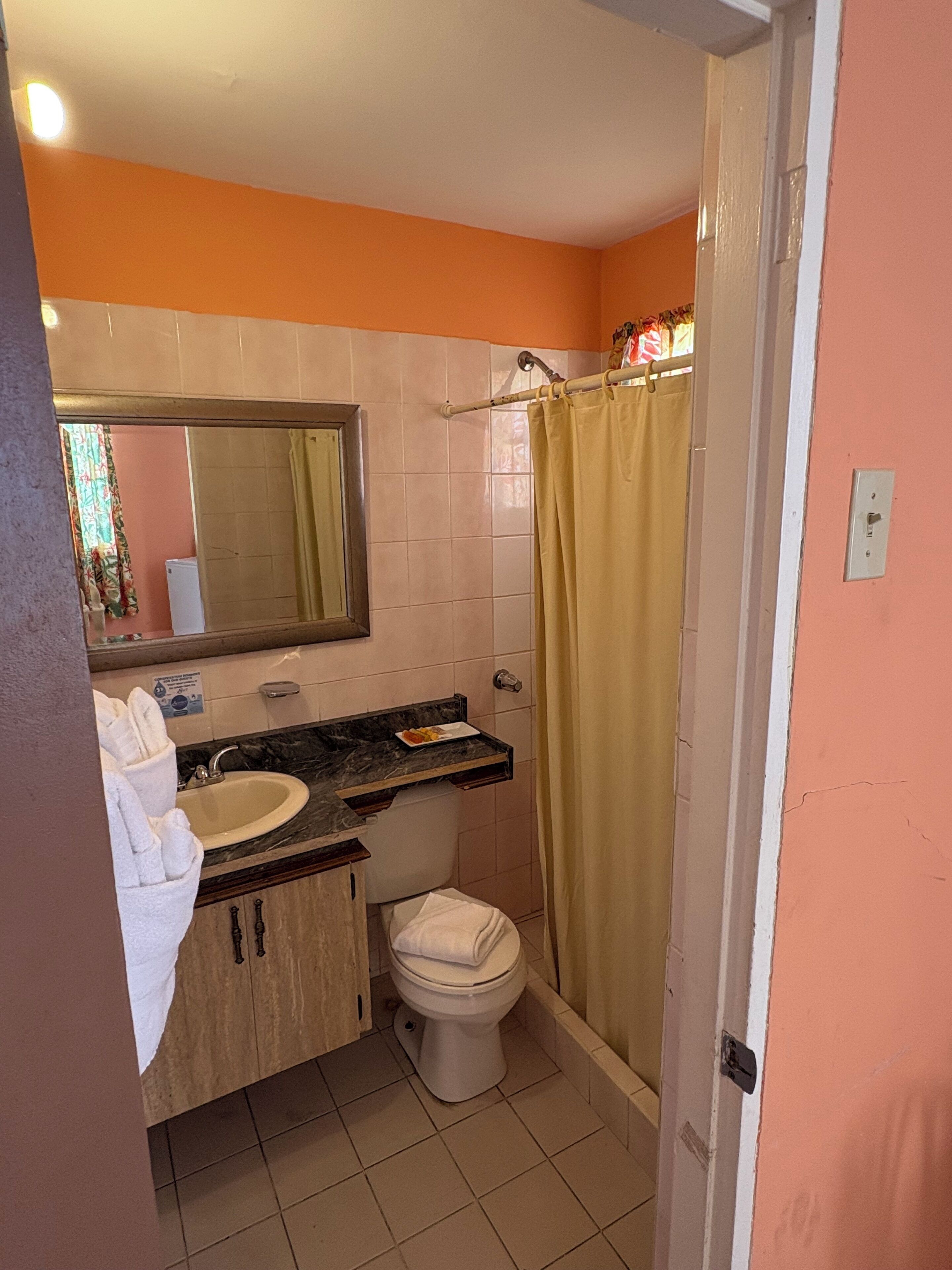 Un baño con lavamanos, espejo, inodoro y cortina de ducha.