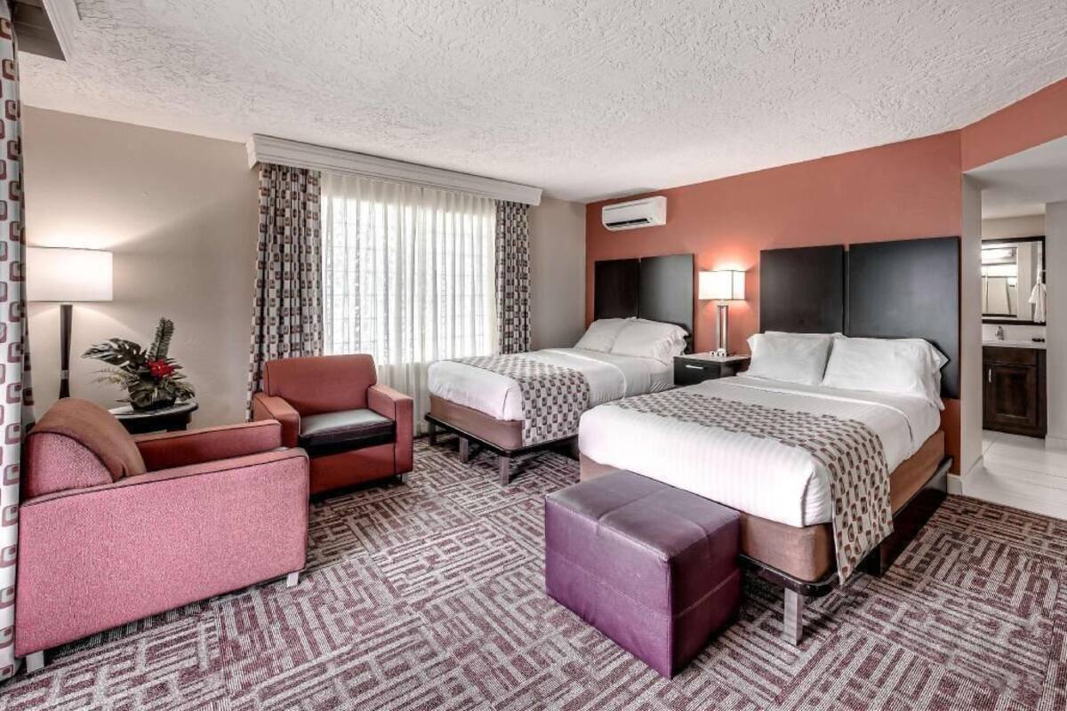 A hotel room with two beds, a sofa, a chair, a small table with a plant, and a mirror.