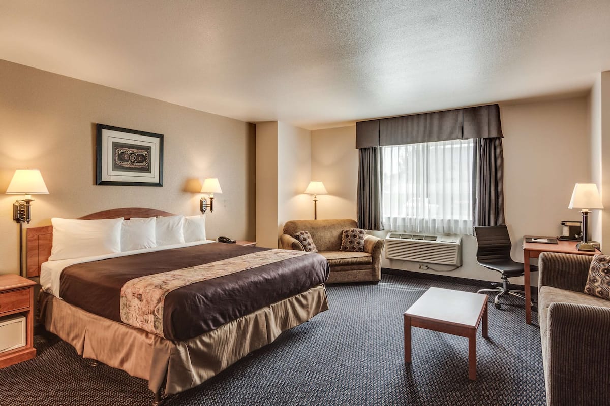 Standard Room, 1 King Bed, Accessible, Refrigerator & Microwave (Pet Friendly) | Desk, laptop workspace, iron/ironing board, free WiFi