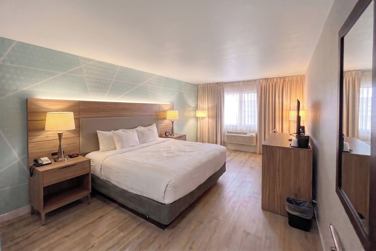 Standard Room, 1 King Bed, Non Smoking