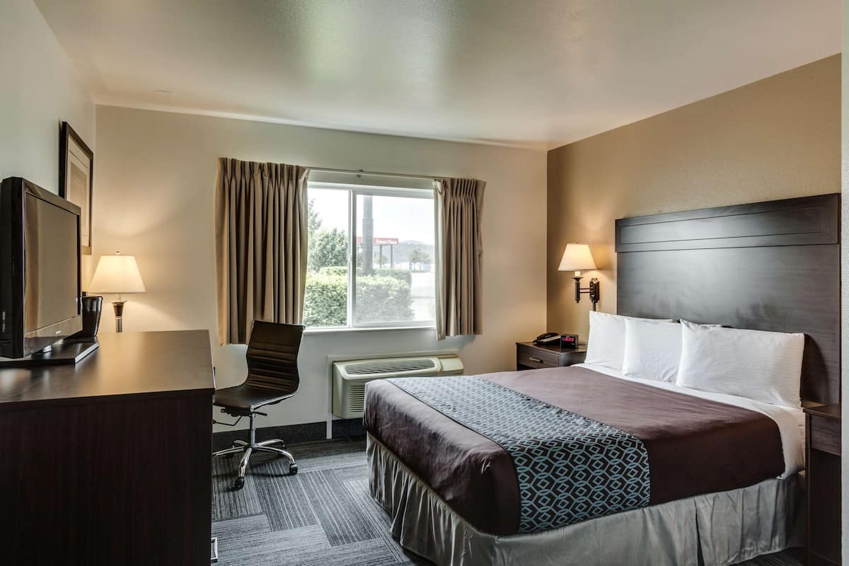 Standard Room, 1 Queen Bed, Non Smoking, Refrigerator & Microwave (Pet Friendly) | Desk, laptop workspace, iron/ironing board, free WiFi