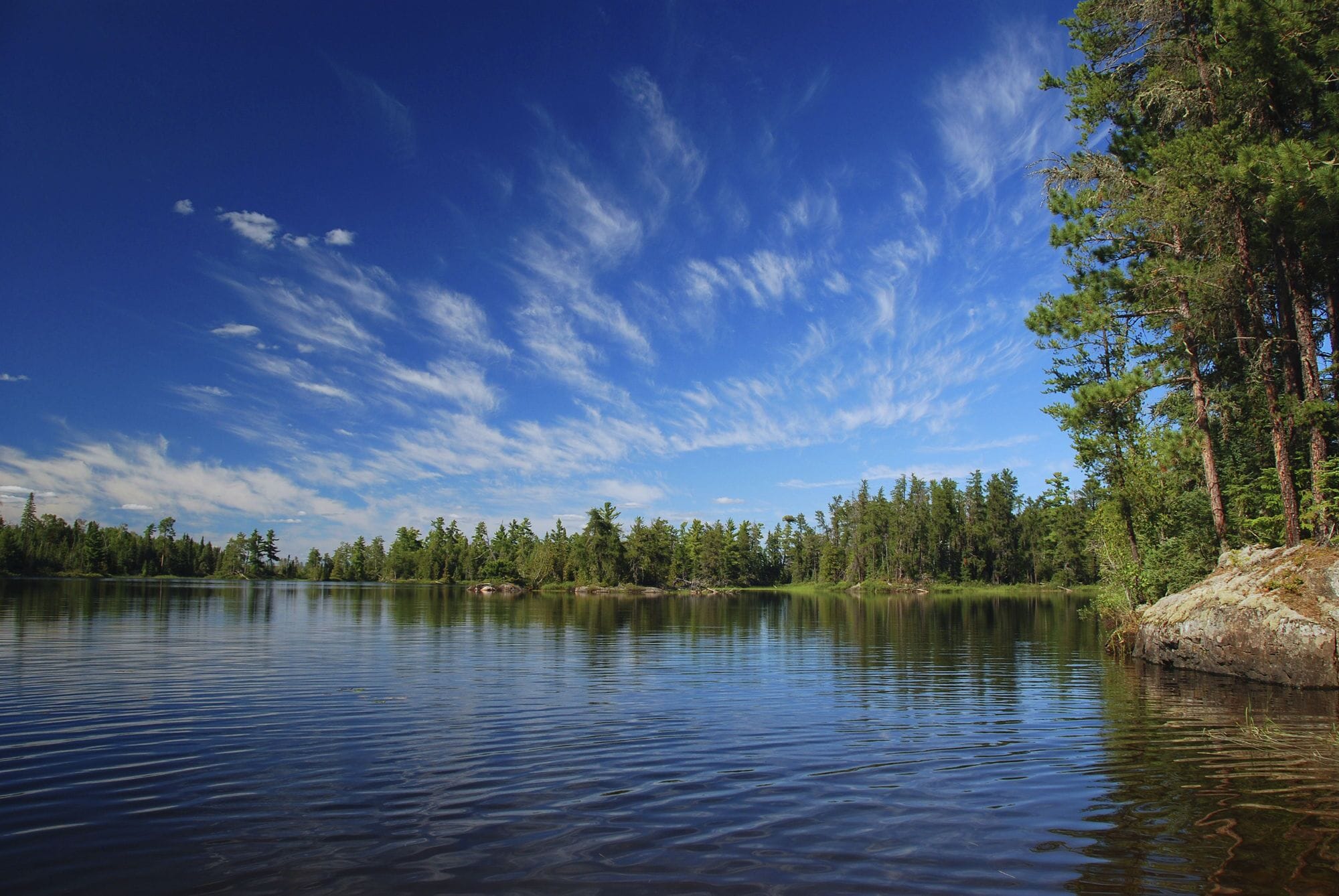 A calm lake with a forested shoreline and a clear sky.