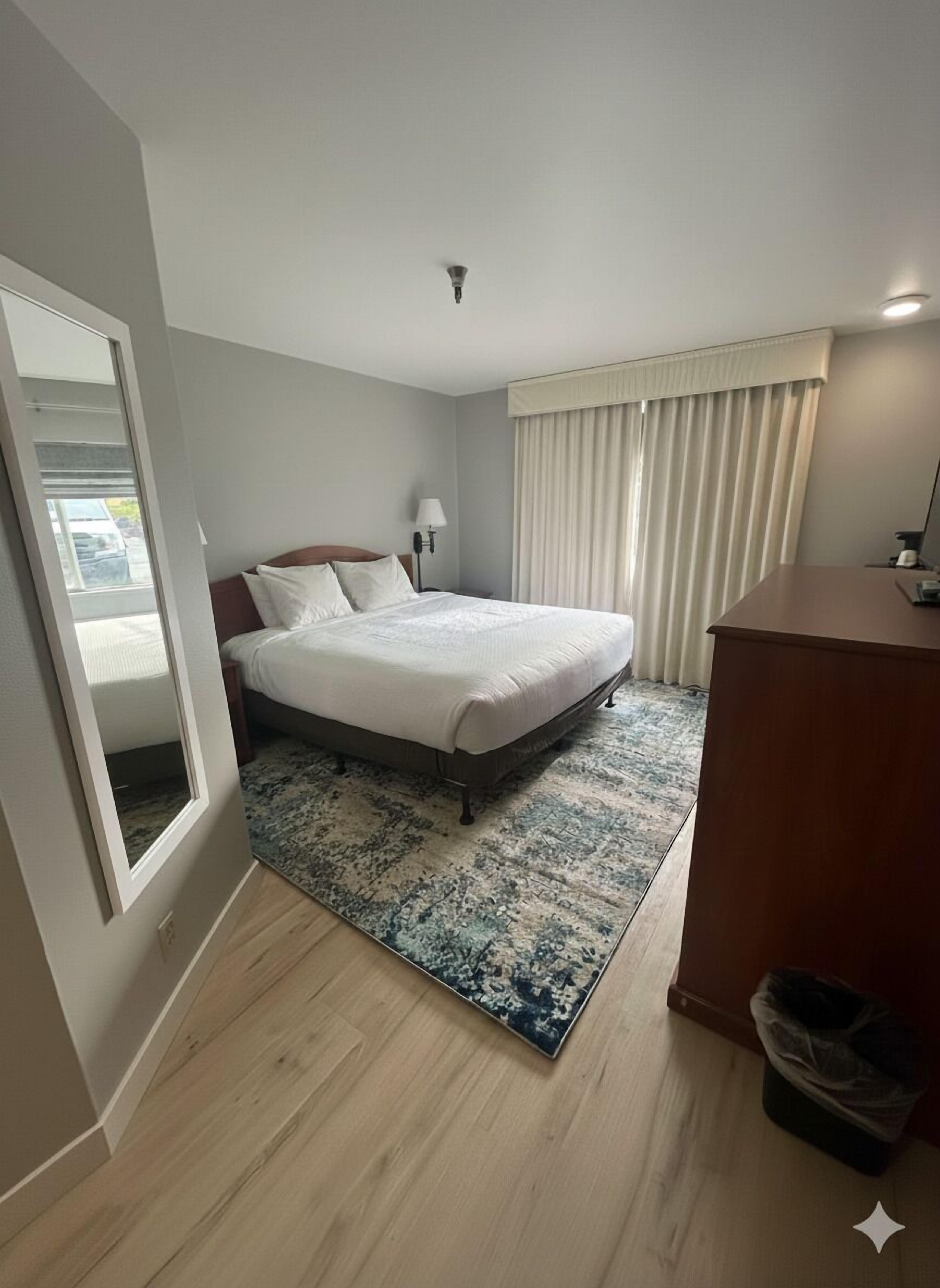 Habitación estándar, 1 cama King size, para no fumadores, refrigerador y microondas (Pet Friendly) | Escritorio y espacio para trabajar con laptop 