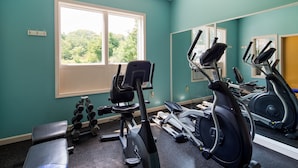 A gym with exercise equipment, a bench, and a window with a view of trees.