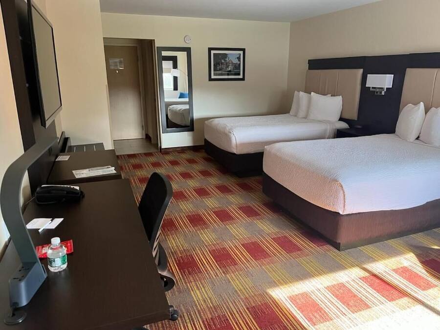 Habitación de hotel con dos camas, un escritorio con silla, televisión y alfombra estampada.