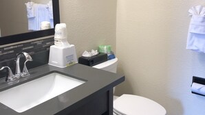 Une salle de bain avec un lavabo au comptoir noir, un miroir, un tableau encadré, des toilettes et une poubelle.