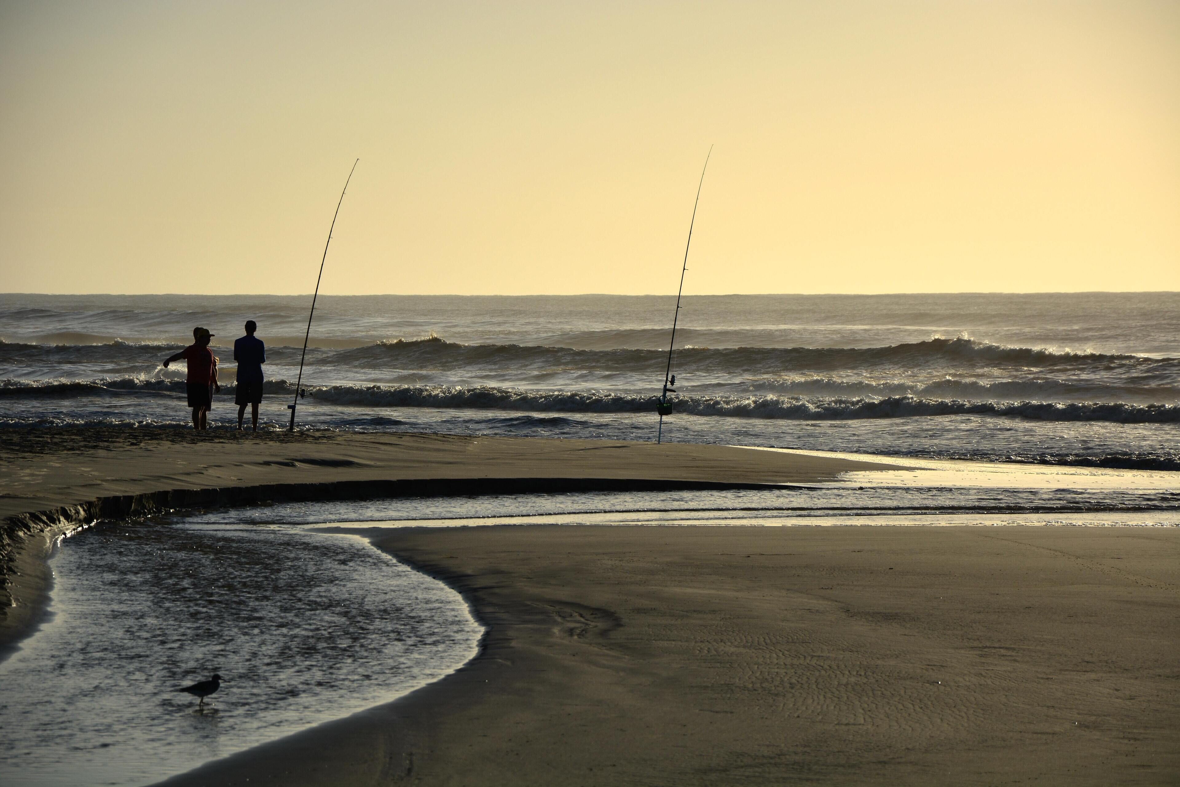 A beach scene with two people fishing, waves approaching the shore, and a bird on the sand.