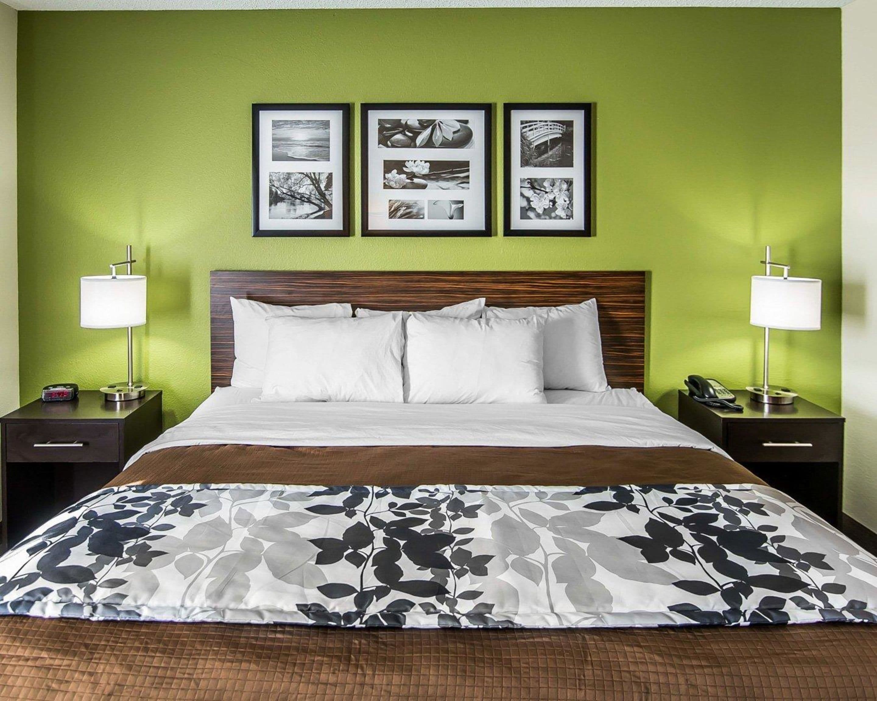 standard room, 1 king bed, non smoking | desk, iron/ironing board, free wifi, bed sheets