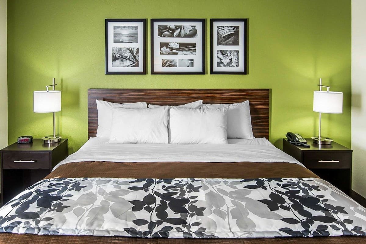 standard room, 1 king bed, non smoking | desk, iron/ironing board, free wifi, bed sheets