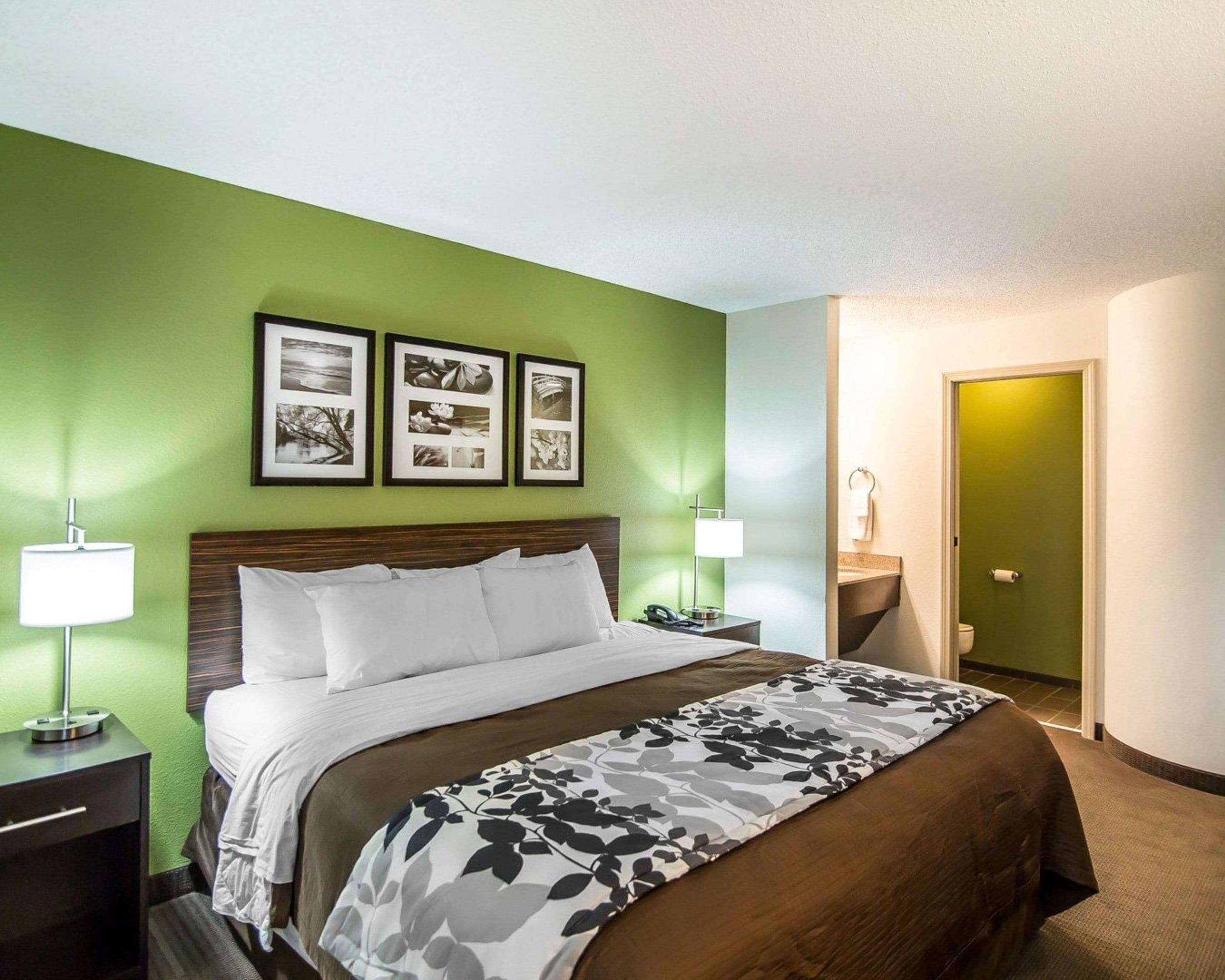 standard room, 1 king bed, non smoking | desk, iron/ironing board, free wifi, bed sheets