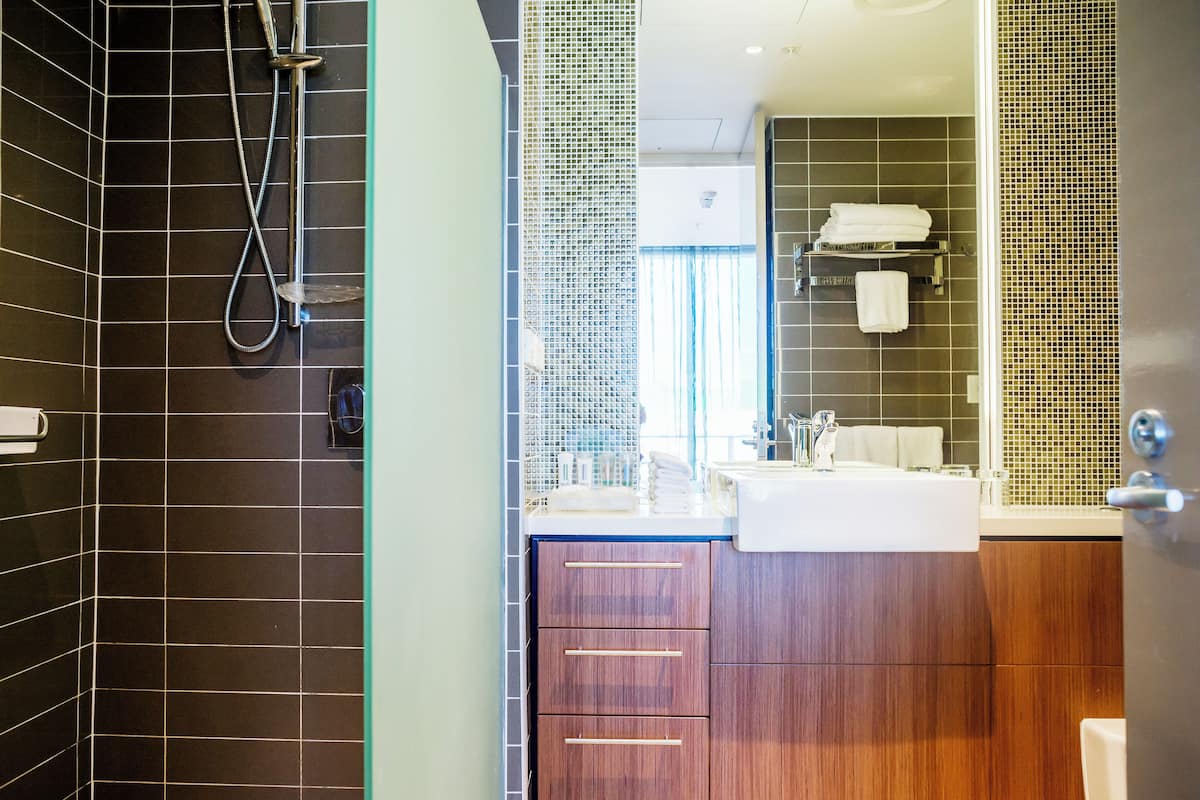 Bathtub, free toiletries, hair dryer, towels