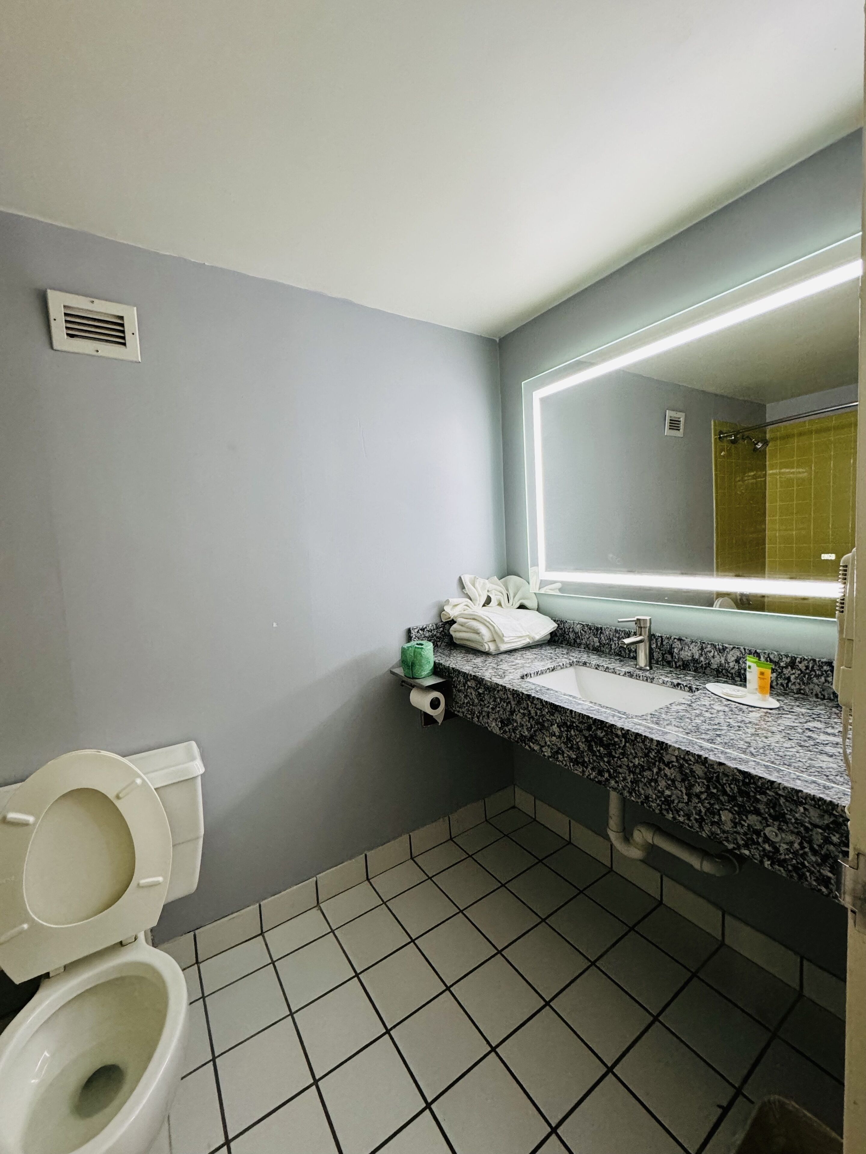 A bathroom with a toilet, sink, and mirror.