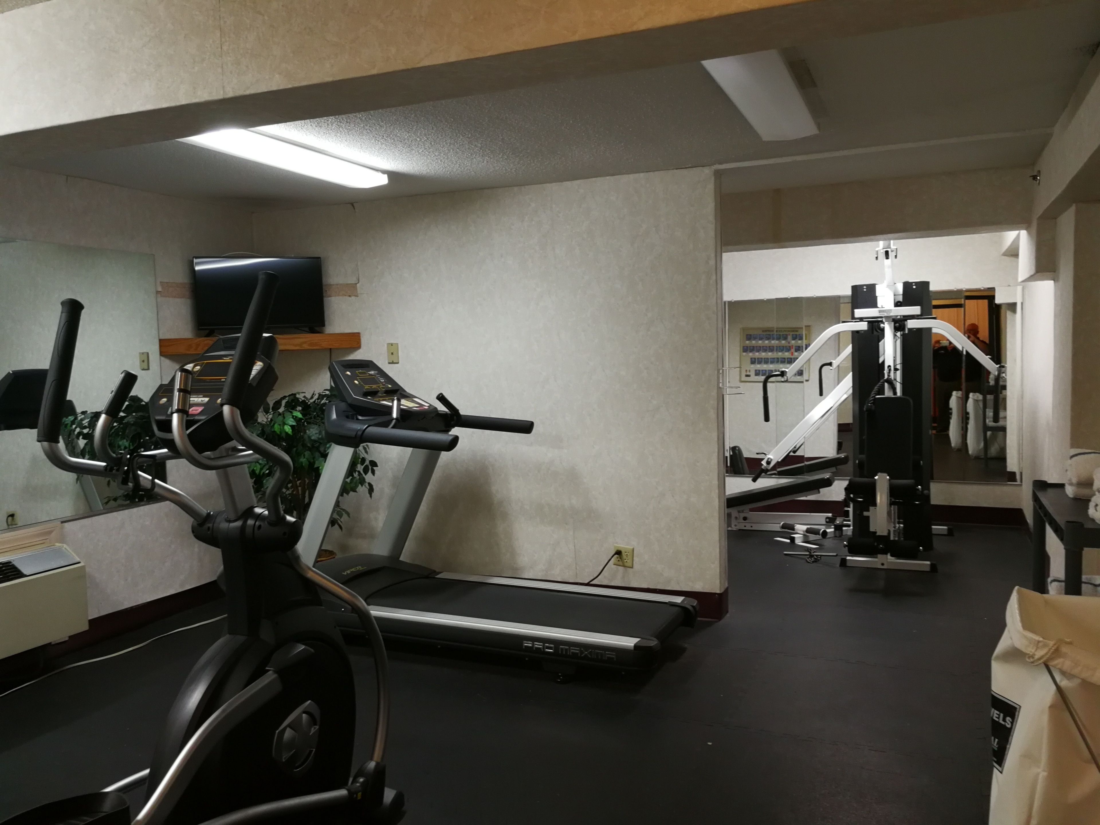 Een sportschool met loopband, crosstrainer en krachttrainingapparatuur.