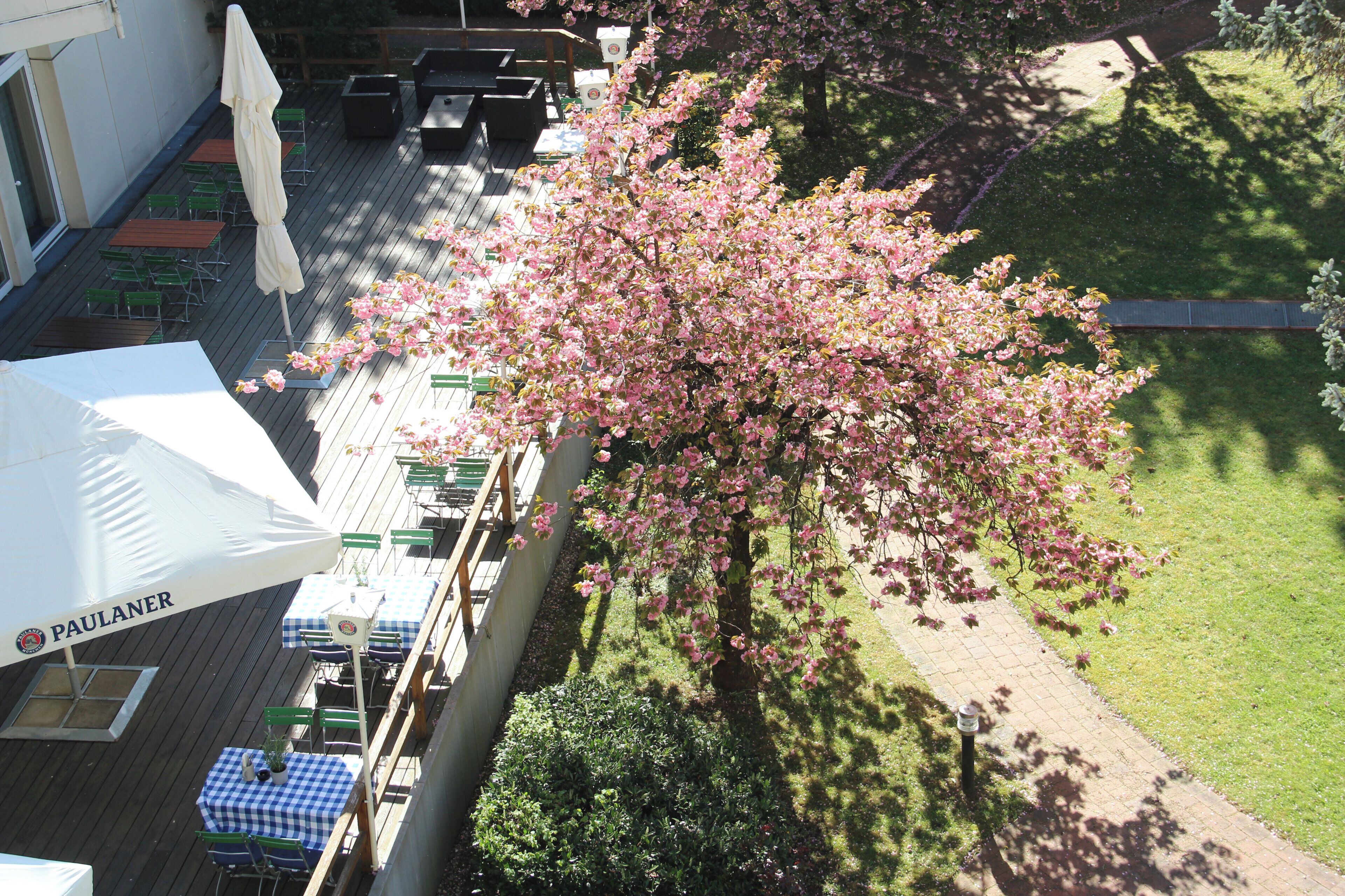 Photo - Holiday Inn Munich - South, an IHG Hotel