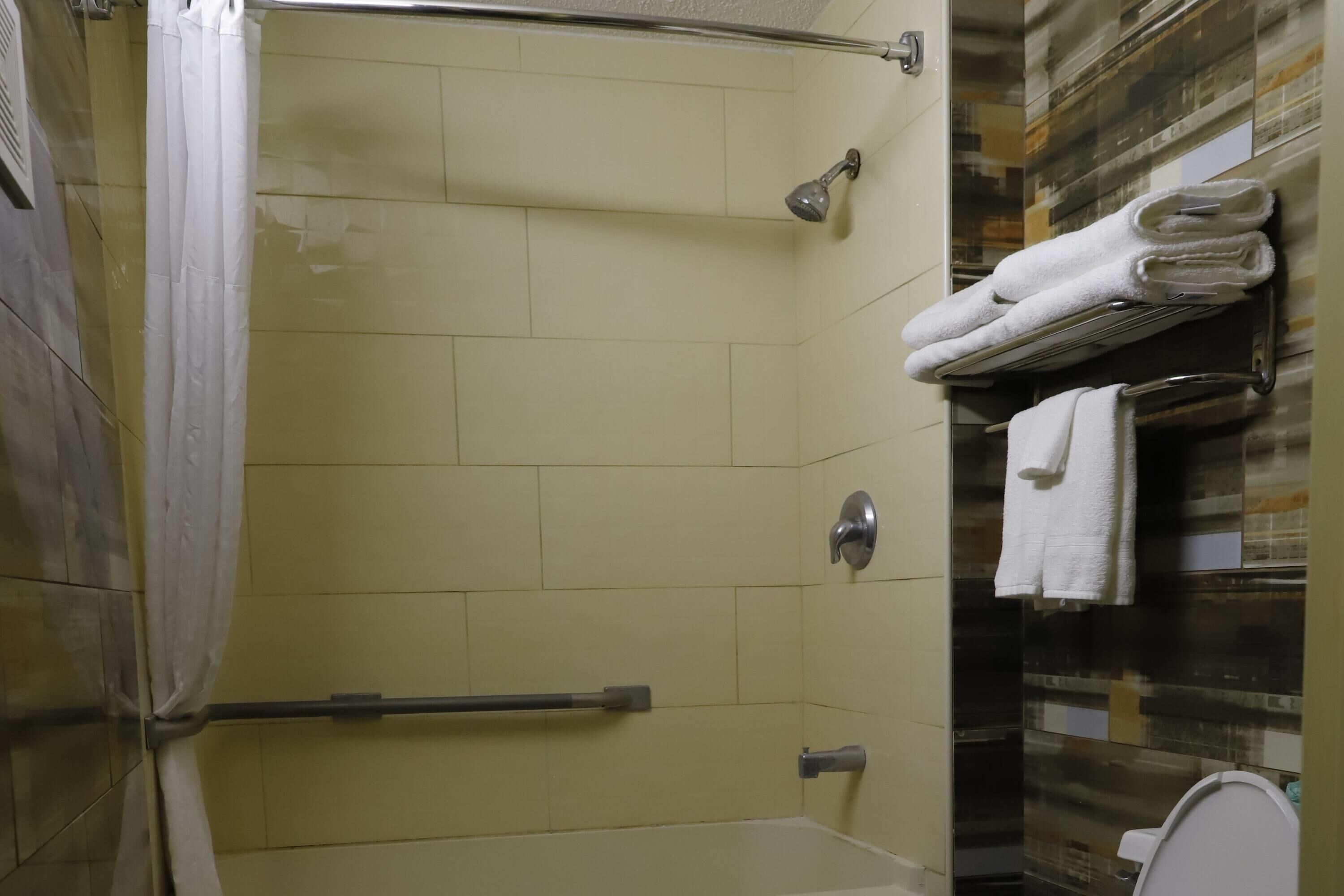 Room, 1 Double Bed, Accessible, Non Smoking | Bathroom | Combined shower/tub, eco-friendly toiletries, hair dryer, towels