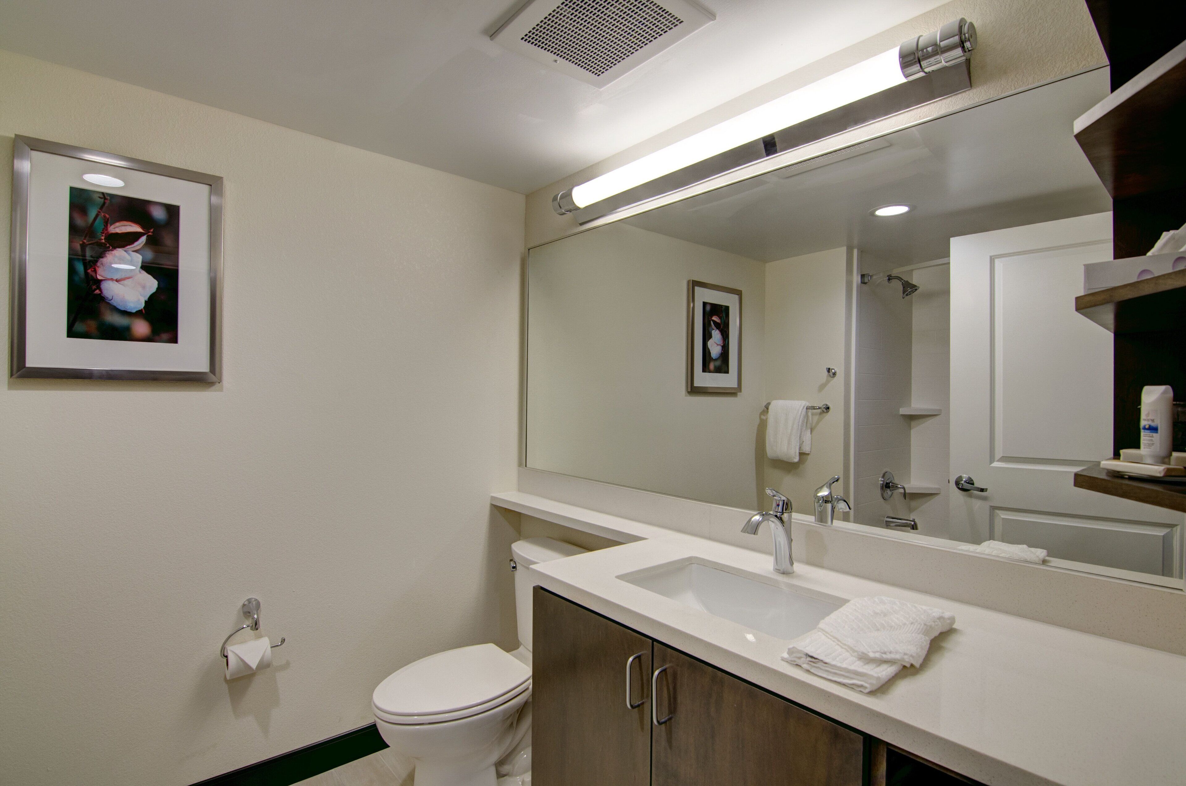 studio suite (room type assigned at check-in) | bathroom | combined shower/bathtub, free toiletries, hair dryer, towels