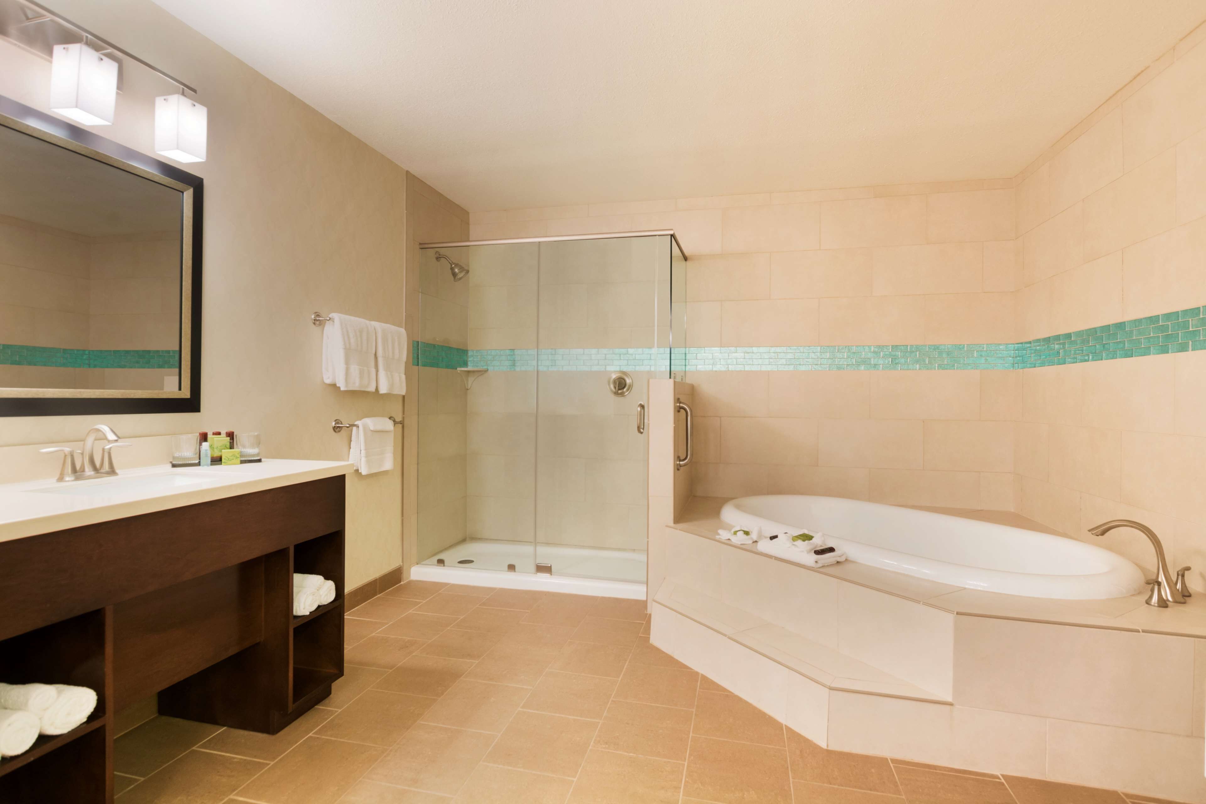 presidential suite, 1 king bed, accessible, non smoking (hearing) | bathroom | eco-friendly toiletries, hair dryer, towels