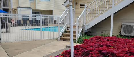 A residential area with a swimming pool, a staircase, and a flower bed with various flowers.